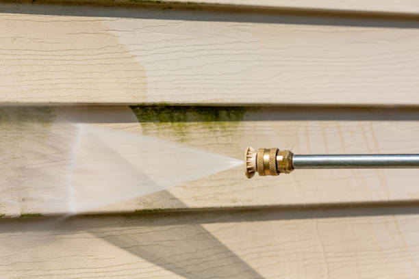 Best Affordable Pressure Washing  in Melvindale, MI