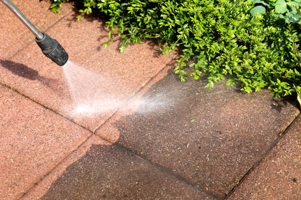 Best Deck Cleaning Services  in Melvindale, MI